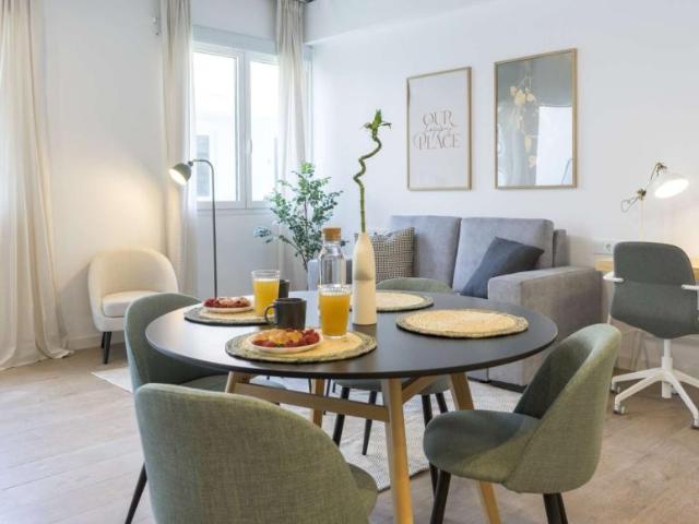 1 Dormitorio Apartamentos Malaga Malaga LS99009984