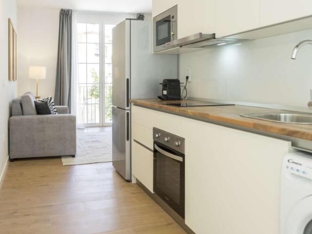 1 Dormitorio Apartamentos Malaga Malaga LS99009989