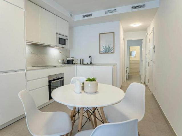 1 Dormitorio Apartamentos Málaga Málaga LS101269266