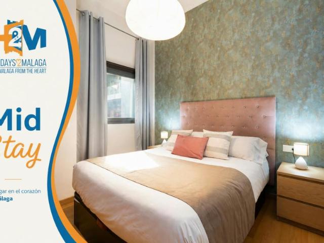 1 Dormitorio Apartamentos Málaga Málaga LS102553898