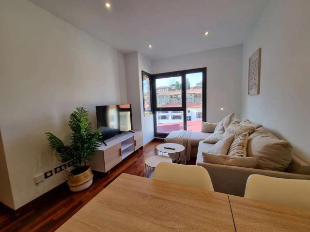1 Dormitorio Apartamentos Oviedo Oviedo LS58190950