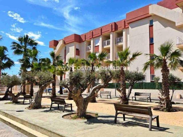 1 Dormitorio Apartamentos Orihuela Costa Costa Blanca 101986887