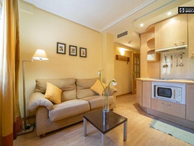 1 Dormitorio Apartamentos Alcala De Henares Alcala De Henares 99229688