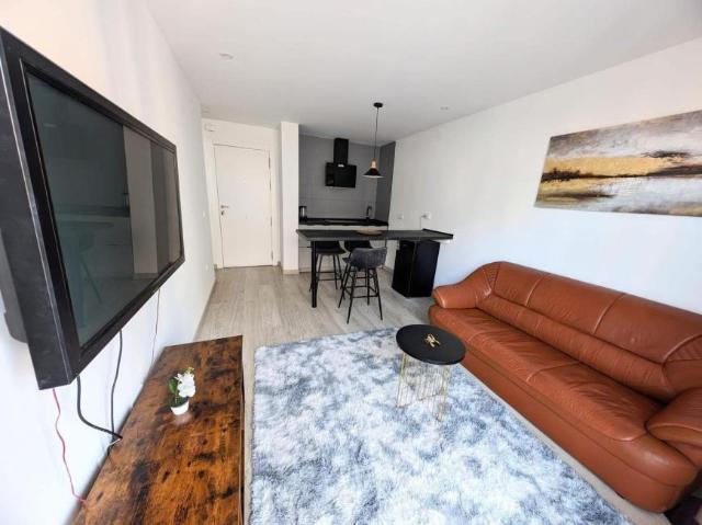 1 Dormitorio Apartamentos Alicante Alicante 101397294