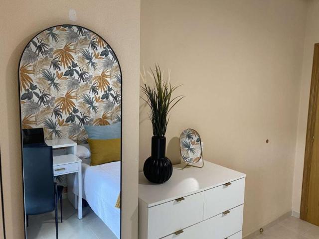 1 Dormitorio Apartamentos Alicante Alicante 101734445