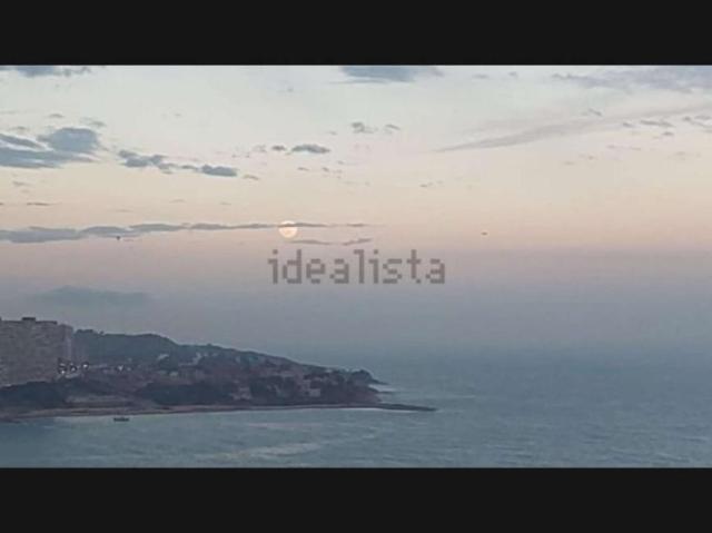 1 Dormitorio Apartamentos Alicante Alicante 101812687