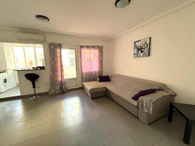 1 Dormitorio Apartamentos Alicante Alicante 102006231