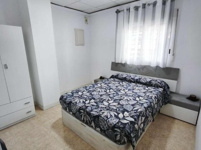 1 Dormitorio Apartamentos Alicante Alicante 103372333