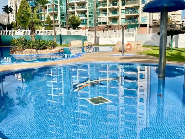 1 Dormitorio Apartamentos Alicante Alicante 97881351