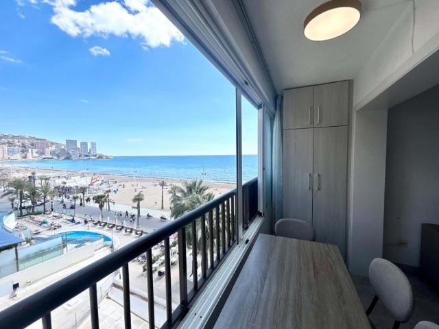 1 Dormitorio Apartamentos Alicante Communidad Valencia 81431357