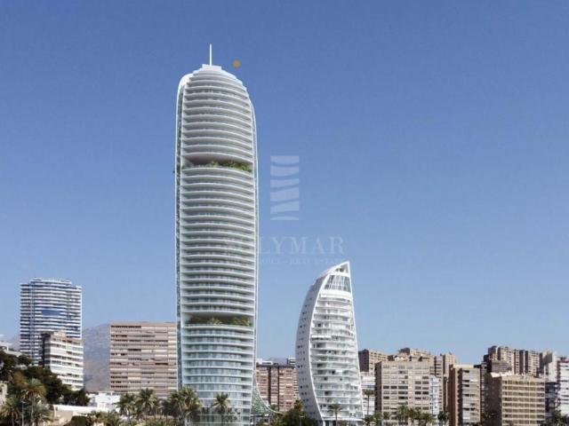 1 Dormitorio Apartamentos Alicante Communidad Valencia 88916296