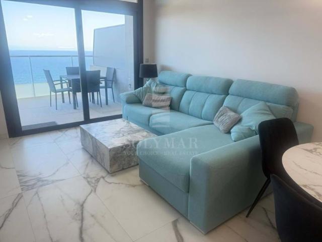 1 Dormitorio Apartamentos Alicante Communidad Valencia 96347982