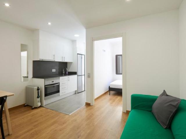 1 Dormitorio Apartamentos Barcelona Barcelona 104474544