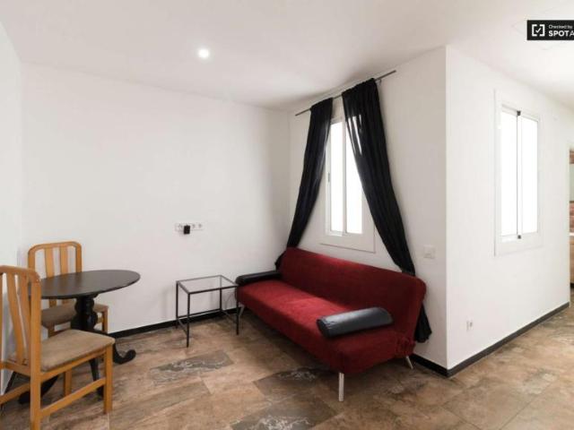 1 Dormitorio Apartamentos Barcelona Barcelona 104803277