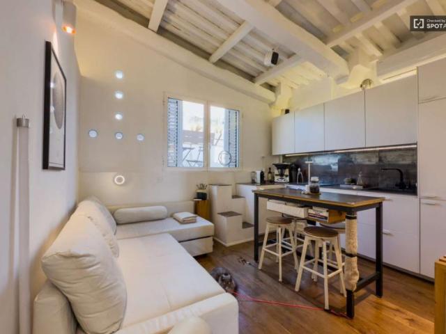 1 Dormitorio Apartamentos Barcelona Barcelona 105006440
