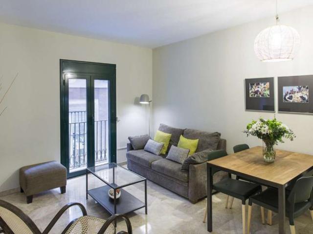 1 Dormitorio Apartamentos Barcelona Barcelona 100178271