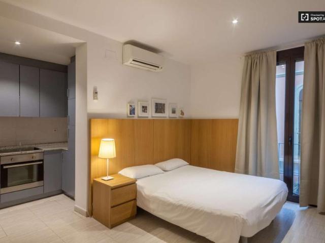 1 Dormitorio Apartamentos Barcelona Barcelona 101731210