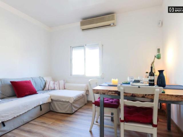 1 Dormitorio Apartamentos Barcelona Barcelona 101765858