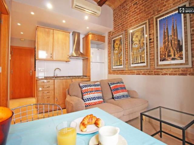 1 Dormitorio Apartamentos Barcelona Barcelona 101845952