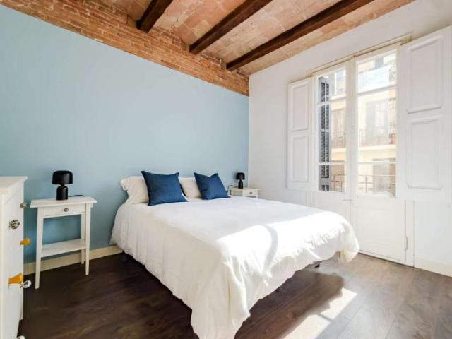 1 Dormitorio Apartamentos Barcelona Barcelona 102146758