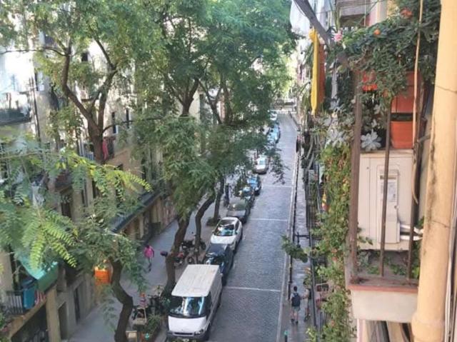 1 Dormitorio Apartamentos Barcelona Barcelona 103032220