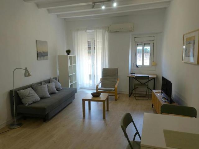 1 Dormitorio Apartamentos Barcelona Barcelona 103302857