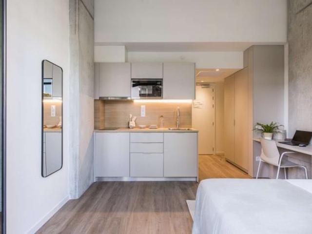 1 Dormitorio Apartamentos Barcelona Barcelona 74440156