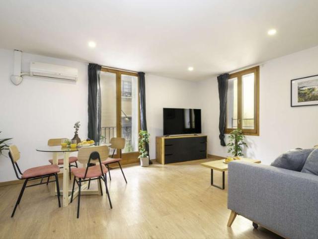 1 Dormitorio Apartamentos Barcelona Barcelona 94501300