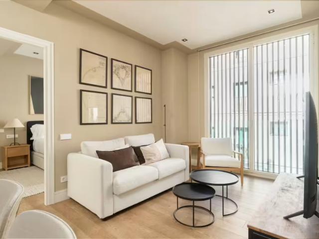 1 Dormitorio Apartamentos Barcelona Barcelona 98537446
