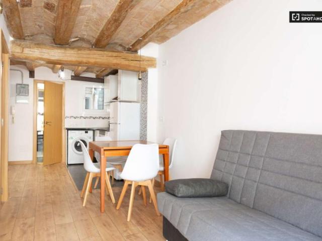 1 Dormitorio Apartamentos Barcelona Barcelona LS101736962