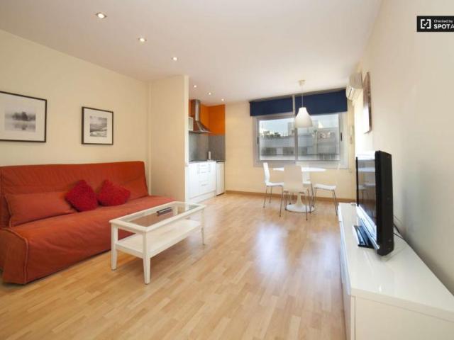 1 Dormitorio Apartamentos Barcelona Barcelona LS101785798