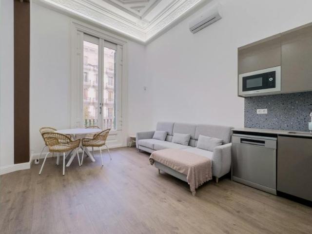 1 Dormitorio Apartamentos Barcelona Barcelona LS101847590