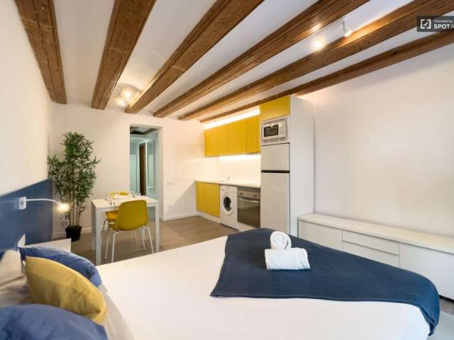 1 Dormitorio Apartamentos Barcelona Barcelona LS101918350