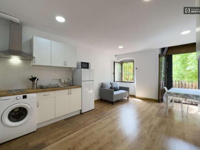 1 Dormitorio Apartamentos Barcelona Barcelona LS101993526