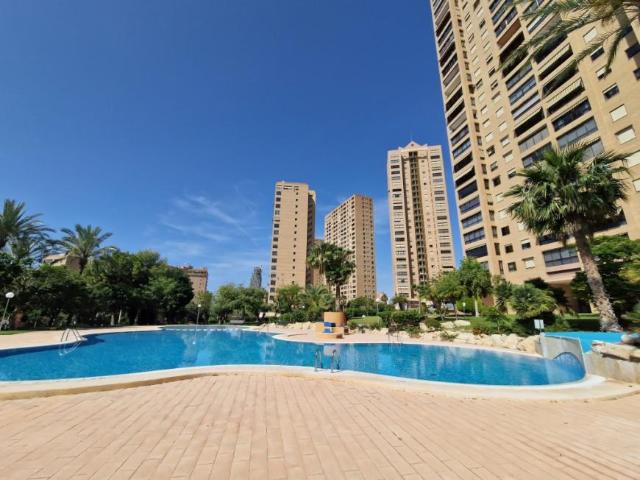 1 Dormitorio Apartamentos Benidorm Alicante LS101128277