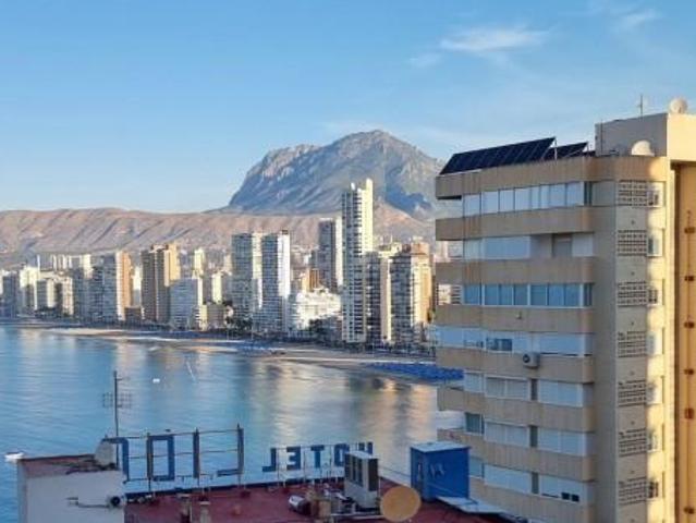 1 Dormitorio Apartamentos Benidorm Alicante LS102715594
