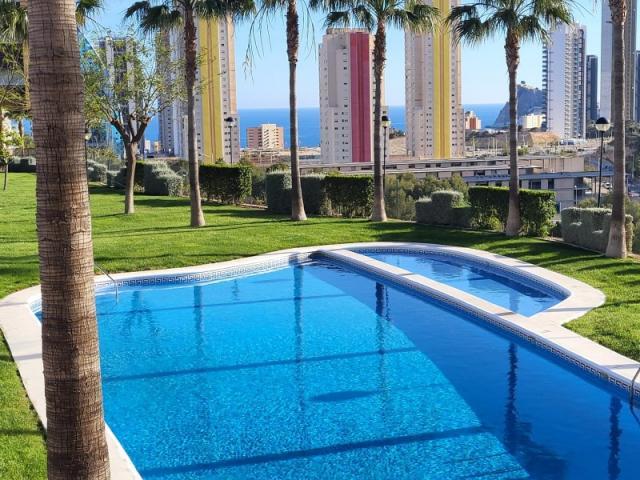 1 Dormitorio Apartamentos Benidorm Alicante LS80651684
