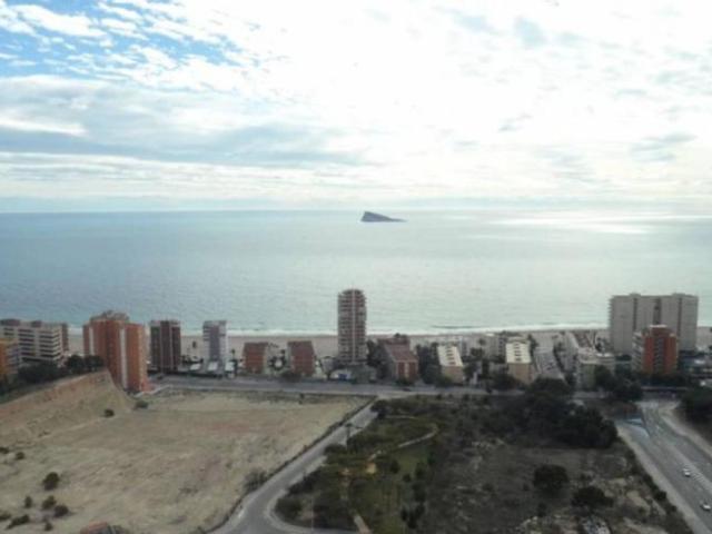 1 Dormitorio Apartamentos Benidorm Alicante 101122620