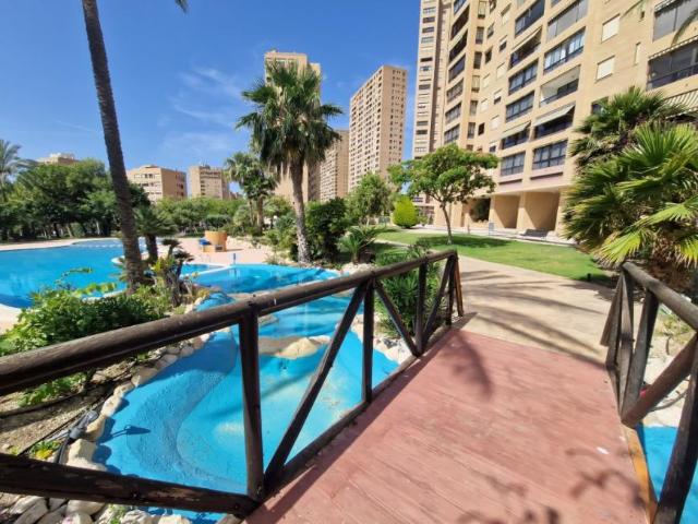 1 Dormitorio Apartamentos Benidorm Alicante 101128351