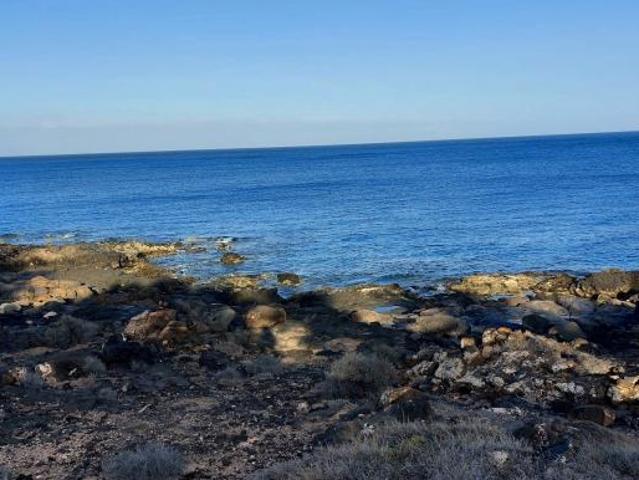 1 Dormitorio Apartamentos Costa Teguise Costa Teguise LS100231790
