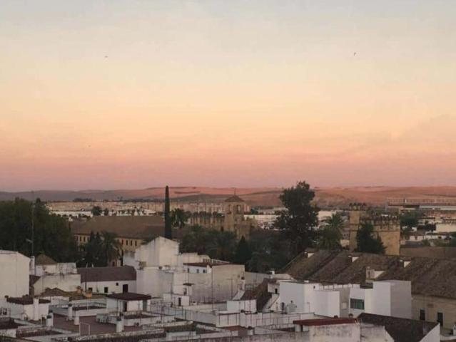 1 Dormitorio Apartamentos Cordoba Cordoba 102918461