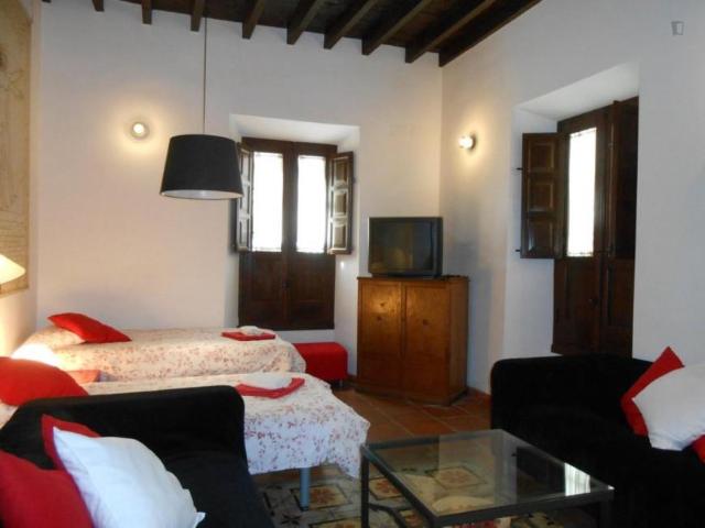 1 Dormitorio Apartamentos Granada Granada 103342659