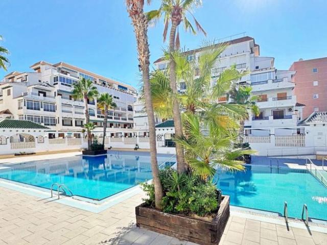 1 Dormitorio Apartamentos La Mata Alicante 98591699