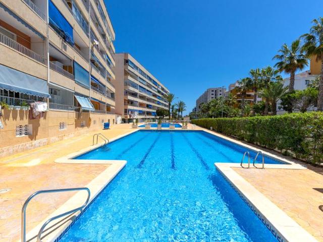 1 Dormitorio Apartamentos Punta Prima Alicante LS98591700