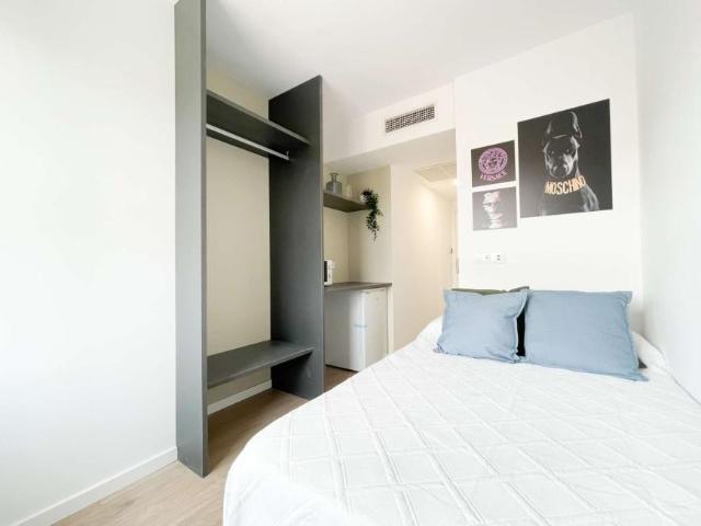 1 Dormitorio Apartamentos Salamanca Salamanca LS96347214