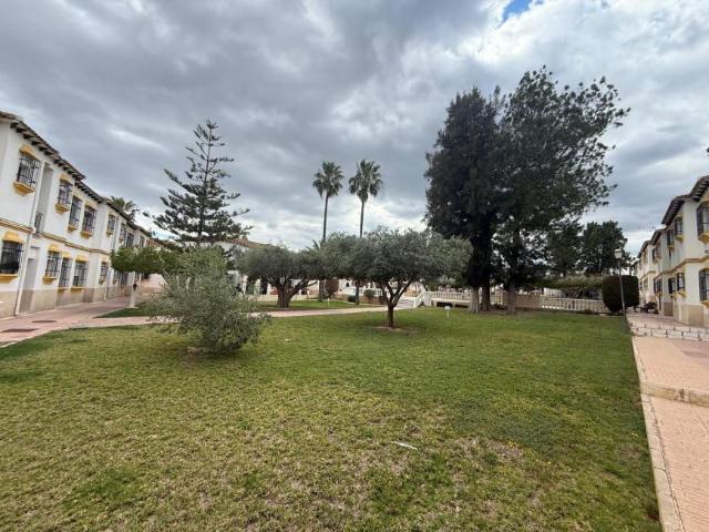 1 Dormitorio Apartamentos San Miguel De Salinas Alicante 101472812