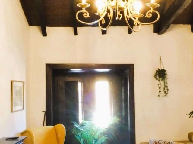 1 Dormitorio Apartamentos Santa Cruz De Tenerife Santa Cruz De Tenerife 99724333