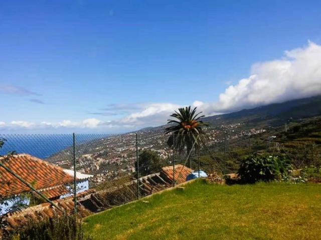 1 Dormitorio Apartamentos Santa Cruz De Tenerife Santa Cruz De Tenerife 100306719