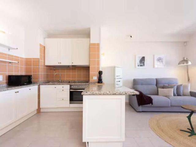 1 Dormitorio Apartamentos Santa Cruz De Tenerife Santa Cruz De Tenerife 101815921