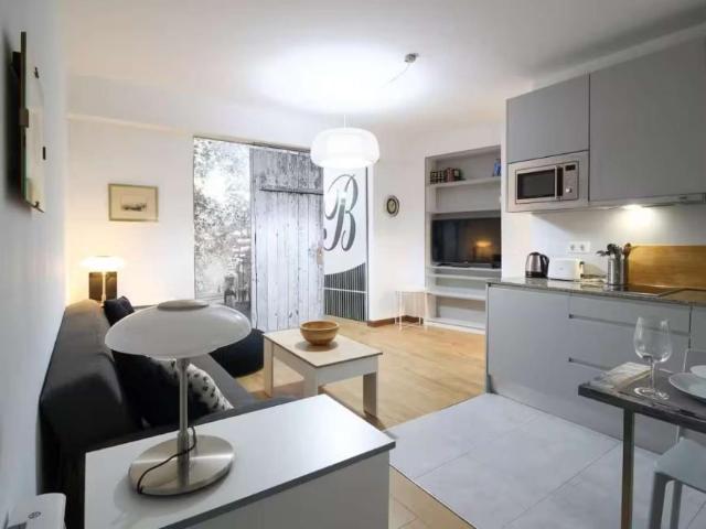 1 Dormitorio Apartamentos Santander Santander 92107850